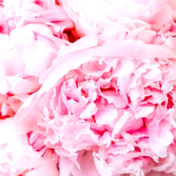 Meet your Posher, Patricia - Picture 1 of 1